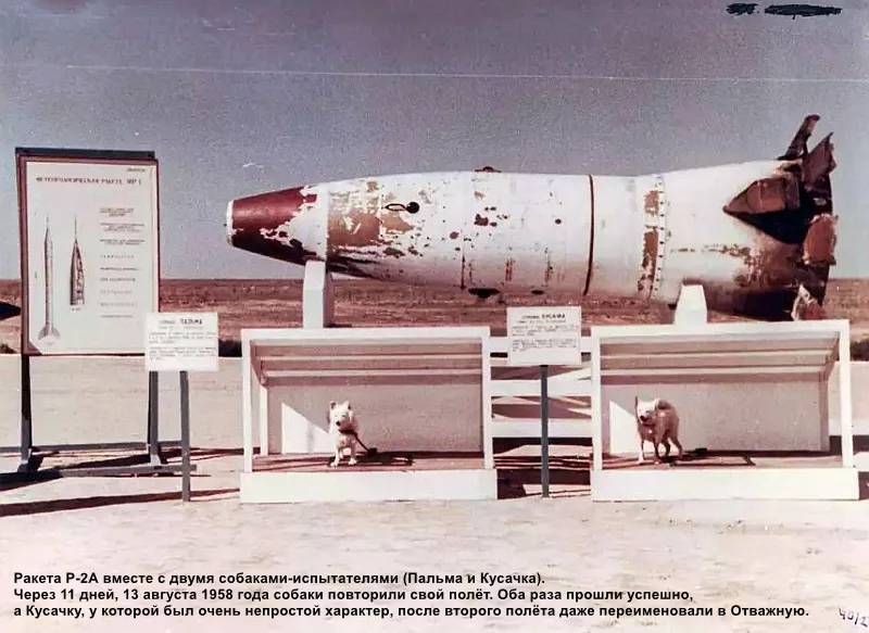Ракета Р-2А вместе с двумя собаками-испытателями (Пальма и Кусачка). Ракета Р-2А вместе с двумя собаками-испытателями (Пальма и Кусачка).