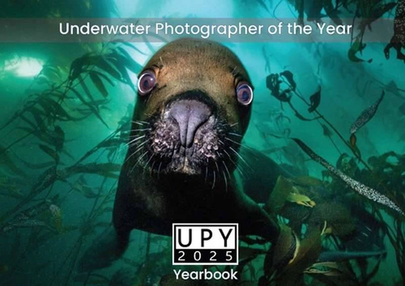 Победители конкурса подводной съемки The Underwater Photographer of the Year 2025