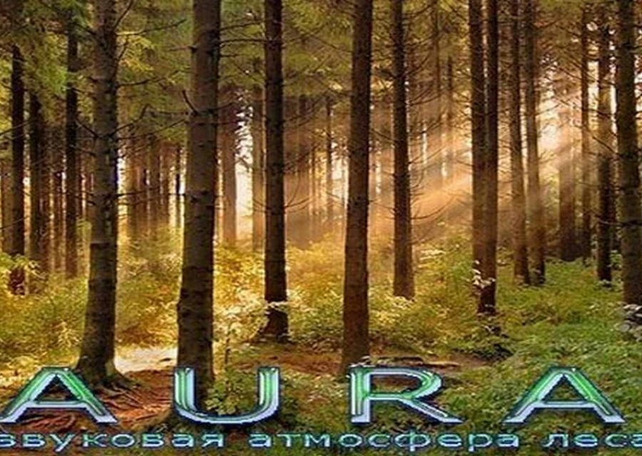 Аура 2.8.11.217