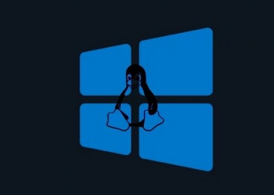 Windows + Linux