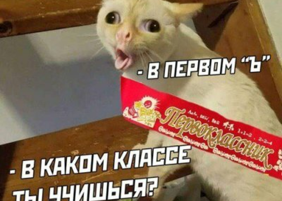 В российской школе создали 33 первых класса